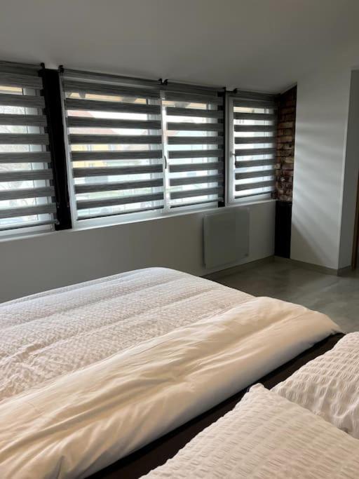 Appartement Duplex Avec Jardin Ingersheim Exteriör bild